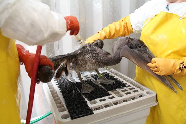Oil Spill Research - Science Writers and Communicators of Canada